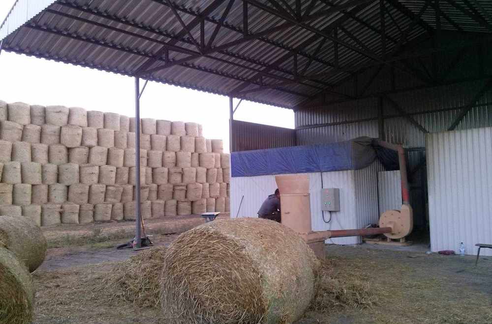 Лінія на соломі, фото 3