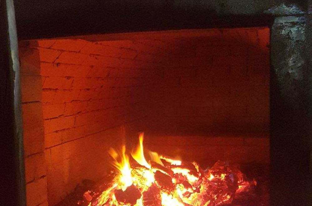 Лінія на тирсі та деревних відходах, фото 7
